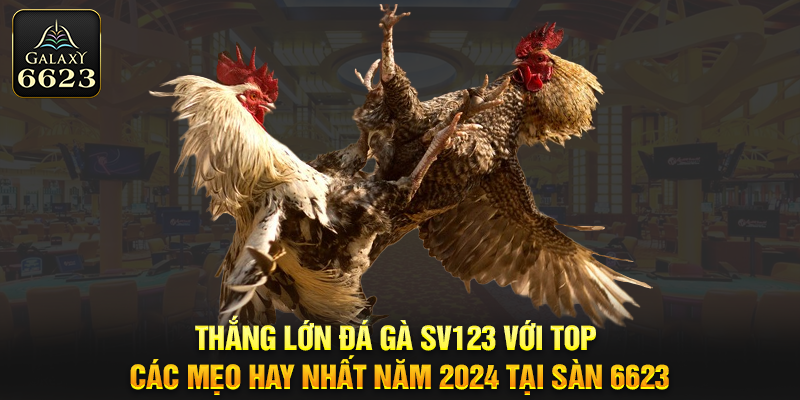 Thắng lớn Đá gà SV123 với top các mẹo hay nhất năm 2024