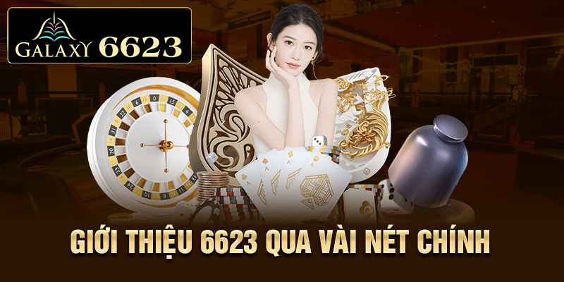 Giới thiệu 6623 qua vài nét chính