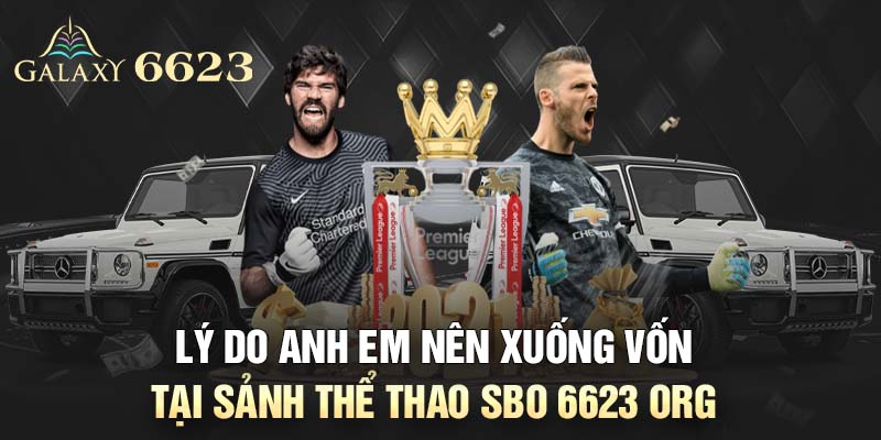 Lý do anh em nên xuống vốn tại sảnh thể thao SBO 6623 org